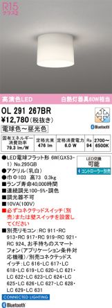 OL291267BR