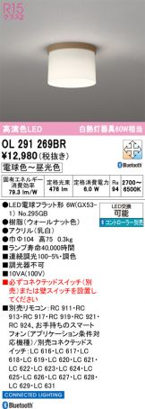 OL291269BR