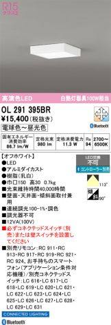 OL291395BR
