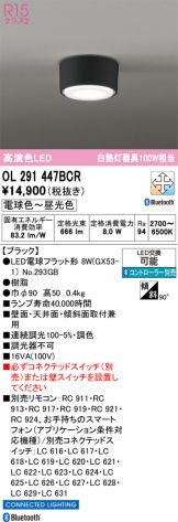 OL291447BCR