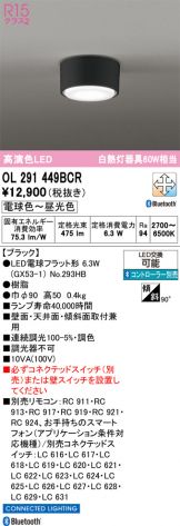 OL291449BCR