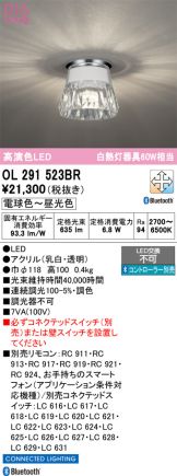 OL291523BR