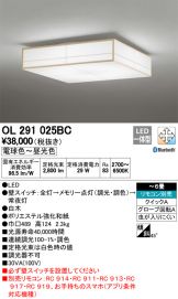 OL291025BC