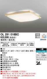 OL291016BC