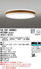 OL291300BC