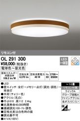 OL291300