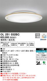 OL251032BC