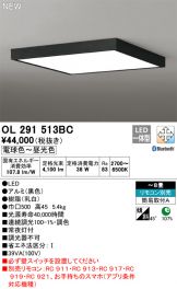 OL291513BC
