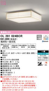 OL291024BCR