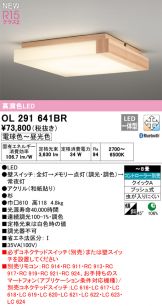 OL291641BR
