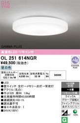 OL251614NGR
