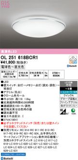 OL251618BCR1