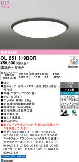 OL251619BCR