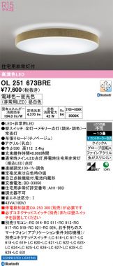 OL251673BRE