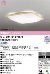 OL291016NGR