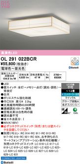 OL291022BCR