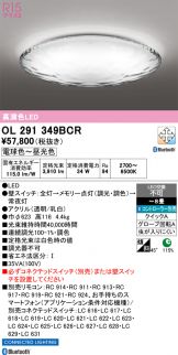 OL291349BCR
