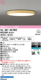 OL291427BR