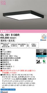 OL291513BR