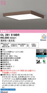 OL291519BR
