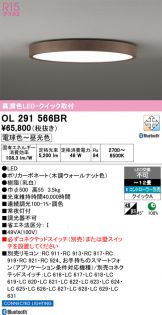 OL291566BR