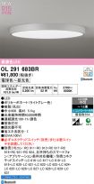 OL291683BR