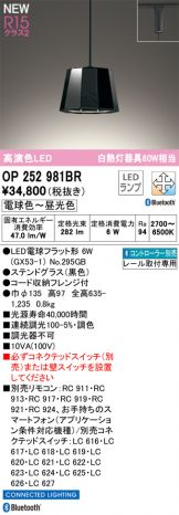 OP252981BR
