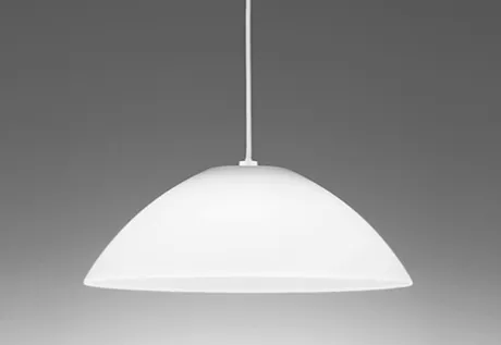 OP087372NR