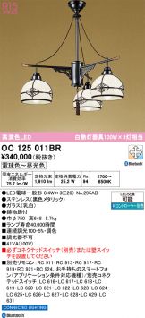 OC125011BR