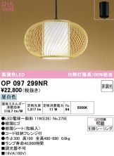 OP097299NR