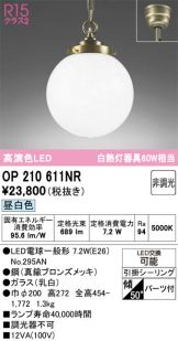 OP210611NR