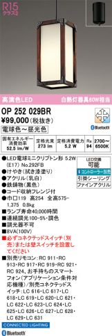 OP252029BR