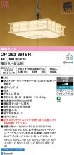 OP252391BR