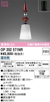 OP252571NR