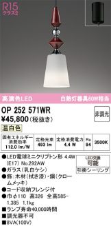 OP252571WR