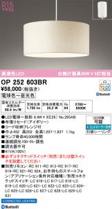 OP252603BR