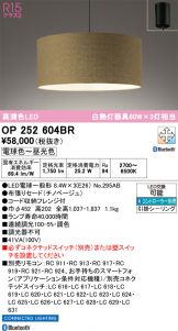 OP252604BR