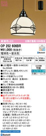 OP252606BR