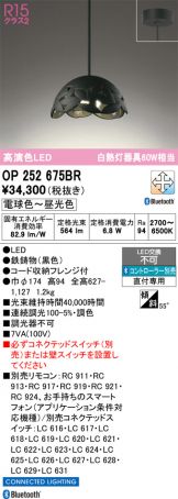 OP252675BR