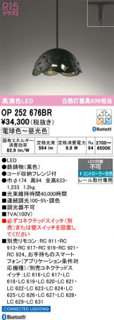 OP252676BR