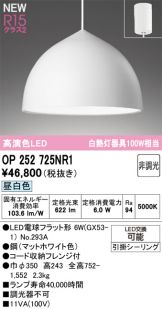 OP252725NR1