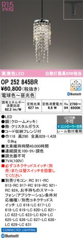 OP252845BR