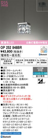 OP252848BR