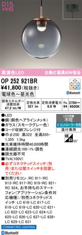 OP252921BR