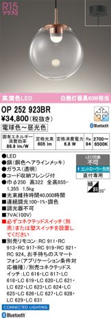 OP252923BR