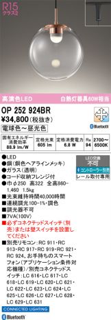 OP252924BR