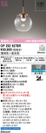OP252927BR