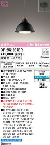 OP252937BR
