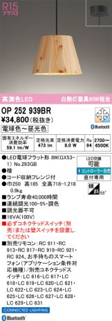 OP252939BR