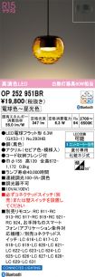 OP252951BR